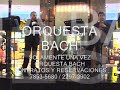 ORQUESTA BACH  SOLAMENTE UNA VEZ