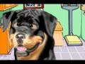 Men from Maine: The Dog Doc