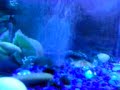 MOV00001.3gp
