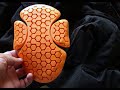 Armadillo Gear