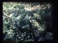 Middletown CT 1966 Mt Higby Plane Crash