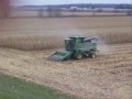 Corn Harvest Corn Harvest