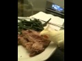 Wally the cockatiel eats turkey!