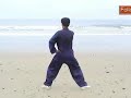Tai Chi Silk Reeling Taiji
