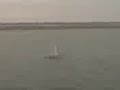 multihull rc (trimaran)