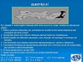 Questões comentadas 9 - Wagner Rocha