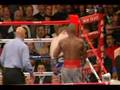 Calzaghe VS. Mayweather