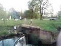 videos de chillling on boats and rocks2