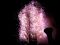 2008 Taipei101 Fireworks 台北101 跨年 煙火秀 花火 超清晰 2008 Taipei101 Fireworks 台北101 跨年 煙火秀 花火 超清晰