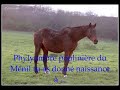 Uttawa et Phylyambre