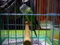 just kiding