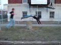 Freerunning-and-Tric