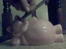 Hey Pigslop