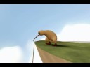 youtube - kiwi!.mp4 youtube - kiwi!.mp4