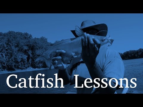 Catfish Lessons Catfish Lessons