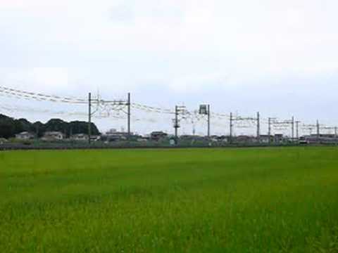 東急5000系と東急8500系（2008年8月撮影）