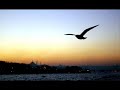 istanbul manzara enes