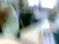 videos de ZOOLOGICO PARTE I