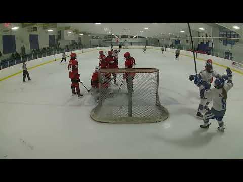 Goal videos
