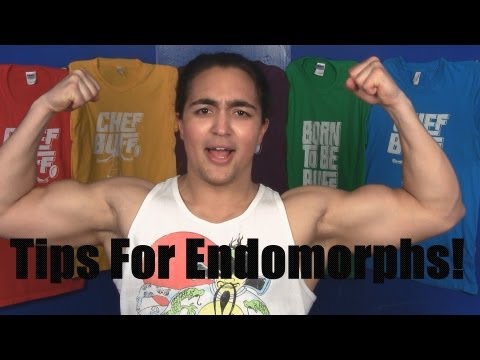 Bulking For Mesomorphs Pdf