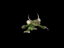 spore monster