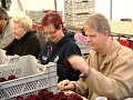 Zundert klaar voor bloemencorso Zundert klaar voor bloemencorso