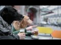 Recorders Purple And Gold Official Music Video and Lyrics