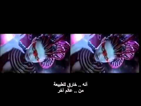 كس امريكيه