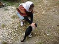 Les m�m�s � la campagne