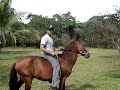 finca ecuestre