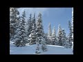 ChristmasGreetings from Hoover Alabama.wmv