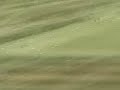 The first time I saw Tiger Woods! The first time I saw Tiger Woods!