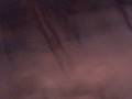 videos de meet zoey