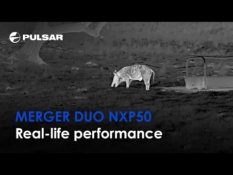 Merger Duo NXP50 Thermal Binoculars