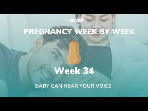 This week in Babyland (Week 34)
