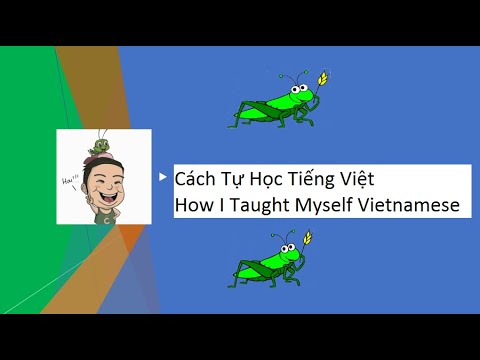 Cách Tự Học Tiếng Việt | How I Taught Myself Vietnamese | Use As Inspiration to Learn English