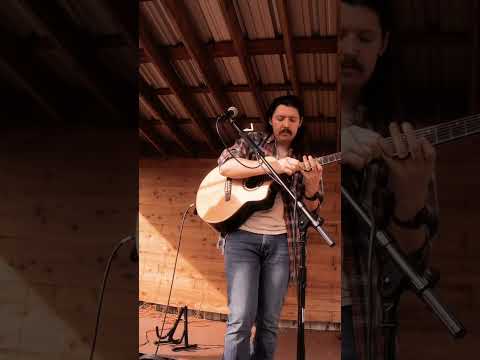 Looping at World Hippo Fest #livelooper #livelooping #guitarlooping #loopstation #hippo #loopmasters