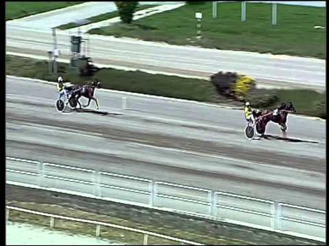 Trotto 19/04/2015 - prova di qualifica