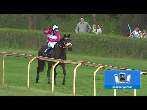 Dostihy Lysá nad Labem 1. 5. 2023 - 7. dostih - Prvomájová steeplechase města Lysá nad Labem