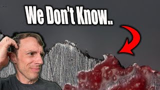 Why No One Really Knows ANYTHING About Knife Sharpening