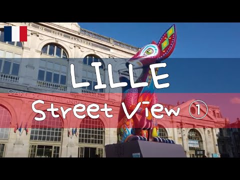 [Online Travel] Street View of LILLE ① / France
