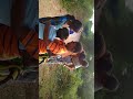 Kattankulam MJ Hemanth Cycle Run Practice