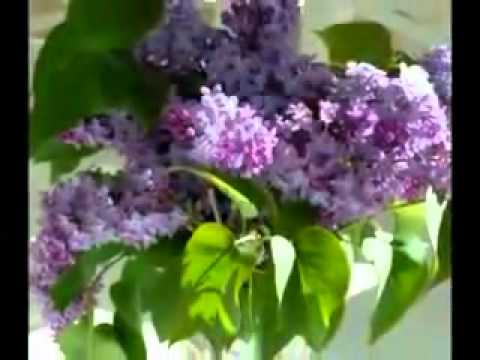 Betli Duó Utoljára küldöm neked