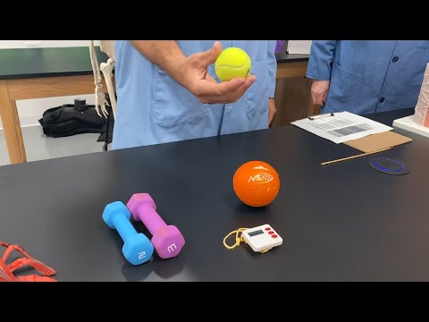 Hands On: Muscle Fatigue