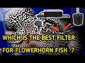 Which is the best aquarium filter for flowerhorn fish ||  flowerhorn fish care