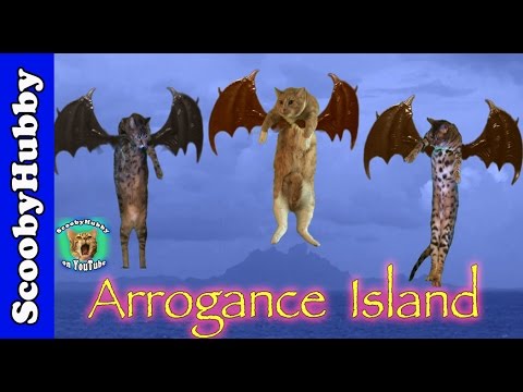 Arrogance Island -- Cat Clips #309
