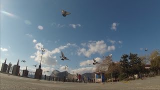 Судак в ноябре. Набережная. Осенний Крым.