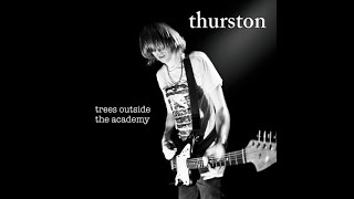 🇺🇸 Thurston Moore – Trees Outside The Academy (Full Album 2007, Vinyl)