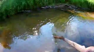 Псковский рыболовный форум - главная страница
