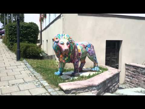 Amintiri din anul 2015.😆😊 Vasile Ionut